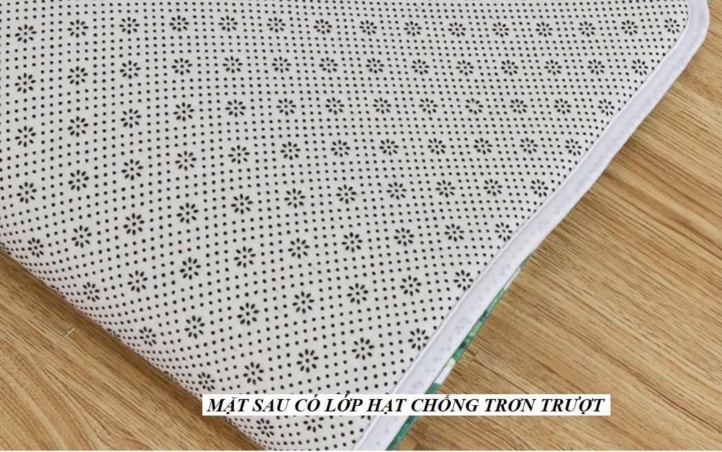 Thảm Lau Chùi Chân 40x60cm Họa Tiết Tranh Cá, Sợi Lông Mềm, Êm Chân, Thấm Hút Nước Tốt