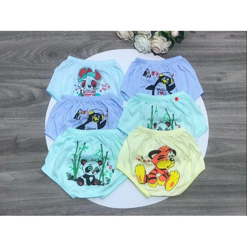 Quần chục chíp mông thú cotton ( 10 quần