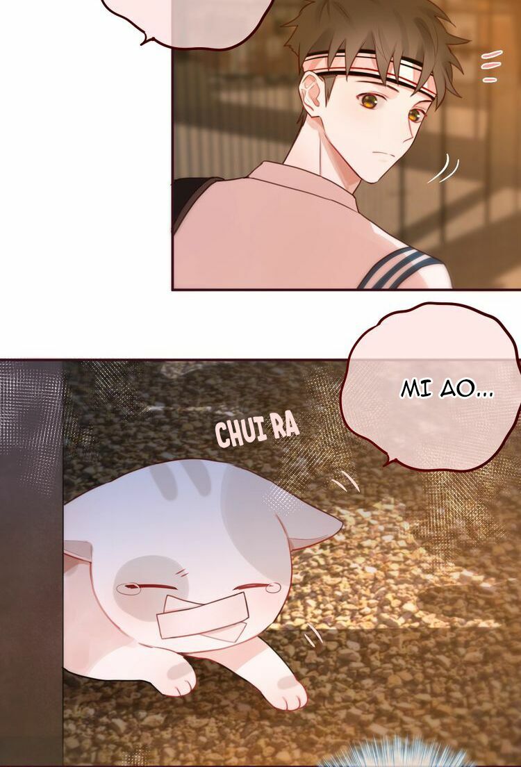 trú dạ liên miên chapter 9 15