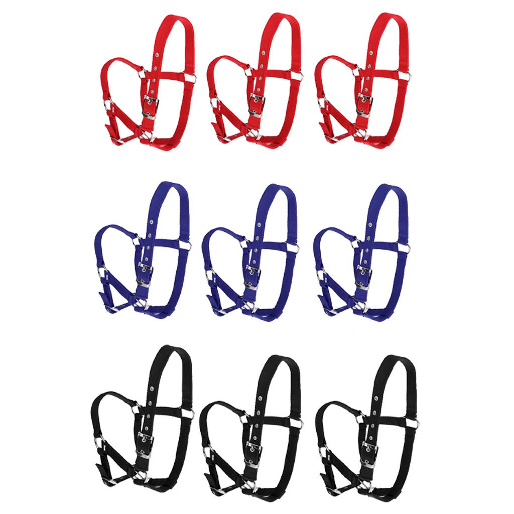 Adjustable Nylon Webbing Equestrian Western Horse Halter Horse Riding Wear Red S