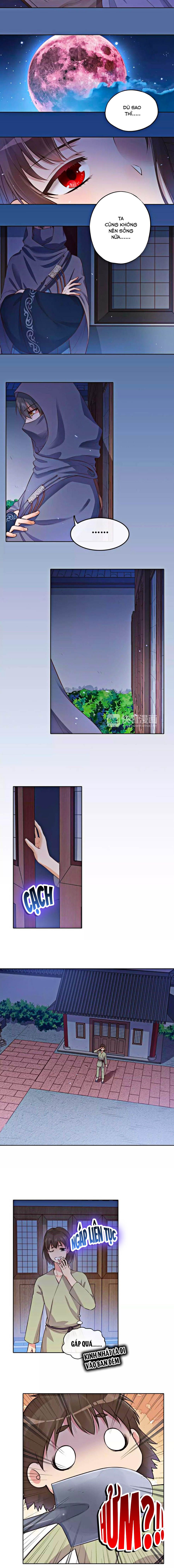 mỹ nhân già rồi chapter 10 5