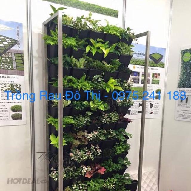 Combo 10 bộ chậu tường đứng trồng cây