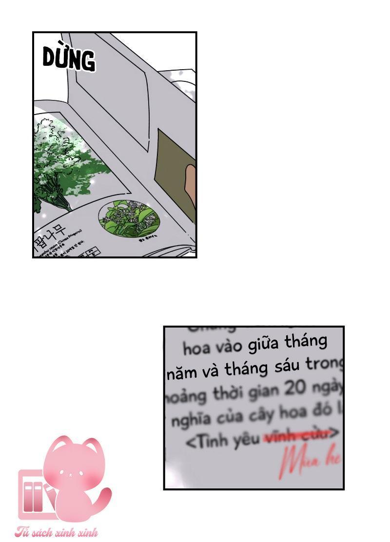 xin chào, mùa hạ chapter 3 49