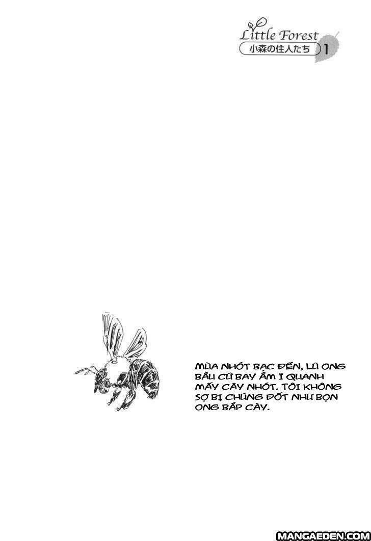 little forest chapter 1 13