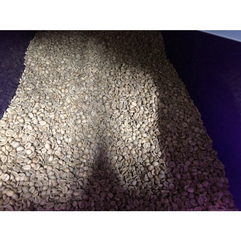 Hạt cà phê nhân xanh arabica S18 chất lượng cao