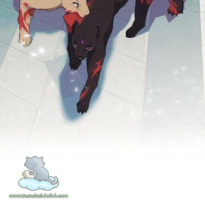 tôi đang nuôi dưỡng một con quái thú chapter 78 60