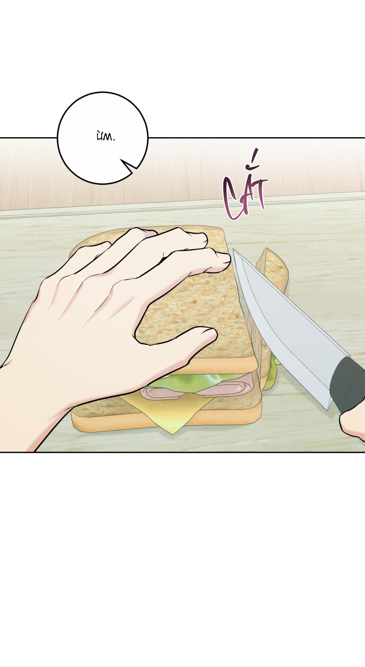 khu rừng tĩnh lặng chapter 25 46