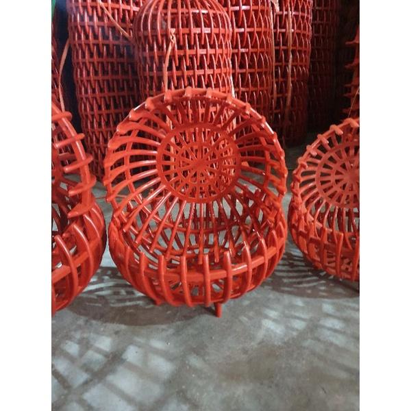 Combo 10 chậu bí trồng lan- chậu nhựa trồng lan- chậu lan