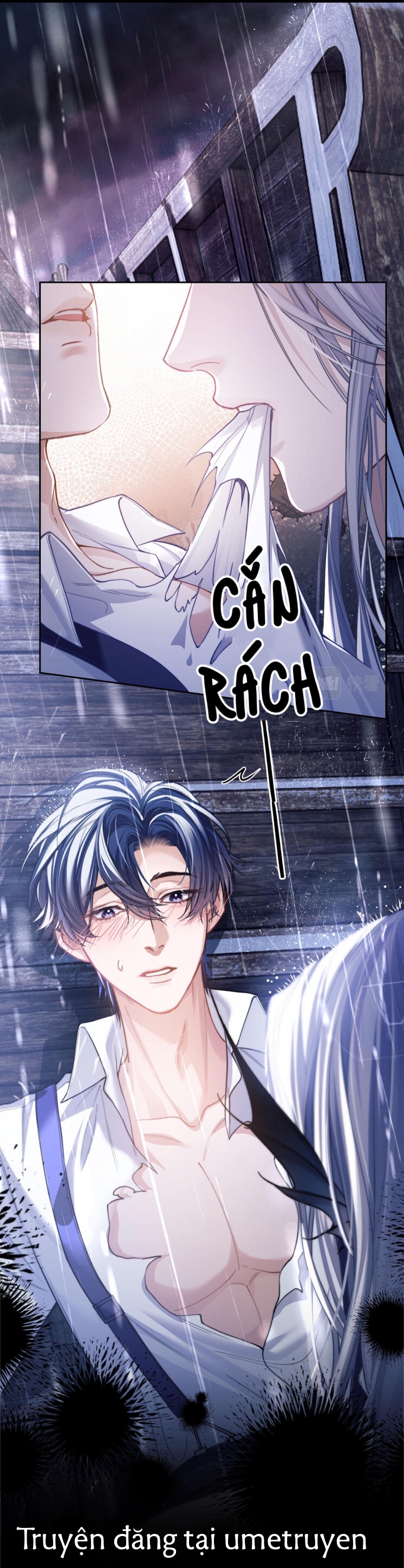 nhân ngư dessaro chapter 6 20