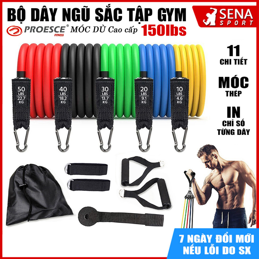 Bộ 5 dây ngũ sắc kháng lực tập Gym - Dây cao su kháng lực hỗ trợ tập toàn thân