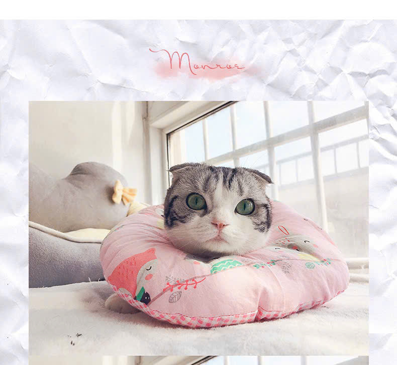 VÒNG CỔ THÚ CƯNG VÒNG CỔ LOA CHỐNG LIẾM CHO THỎ CHÓ MÈO TỪ 0.1-8KG MÃ 14 CHO CHÓ MÈO THỎ