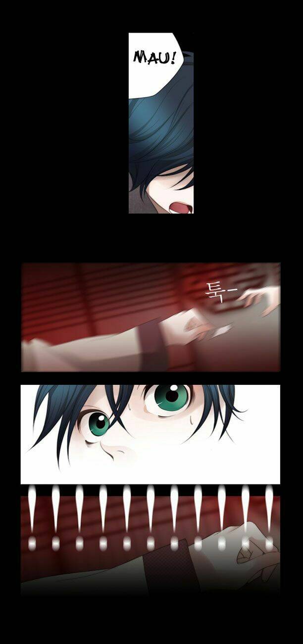 12 nights chapter 1 11