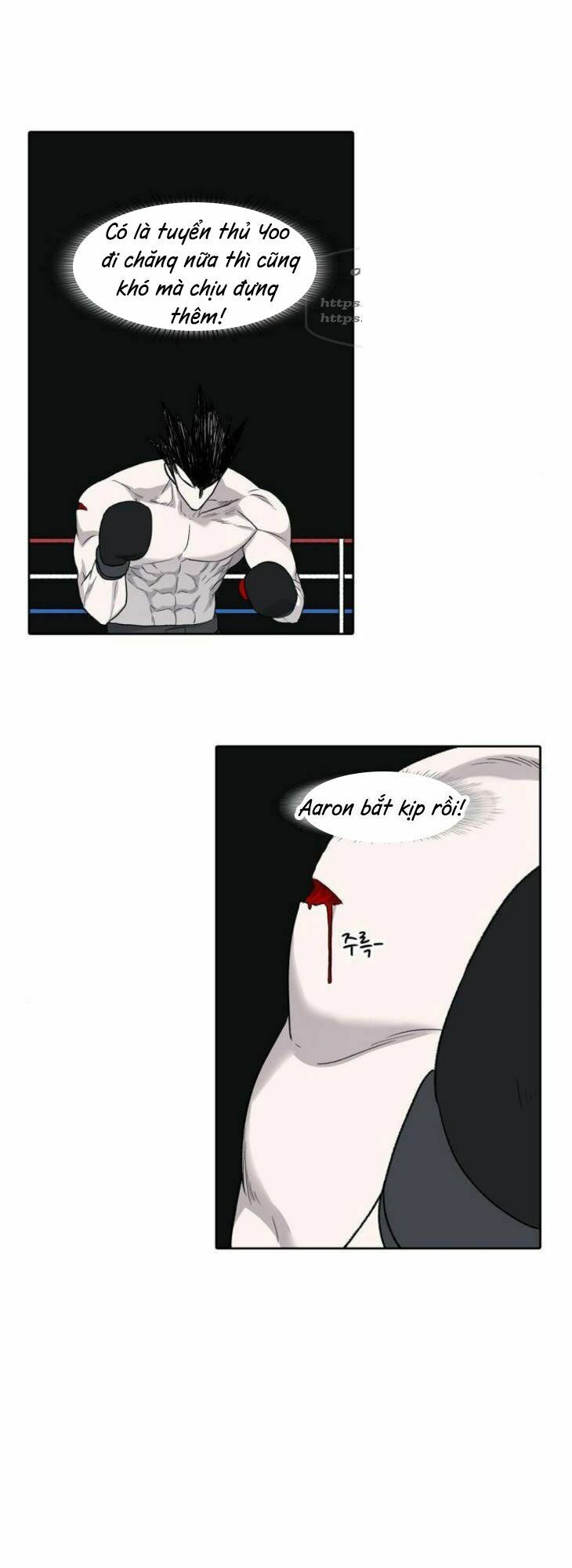 Võ Sĩ Quyền Anh chapter 85 30