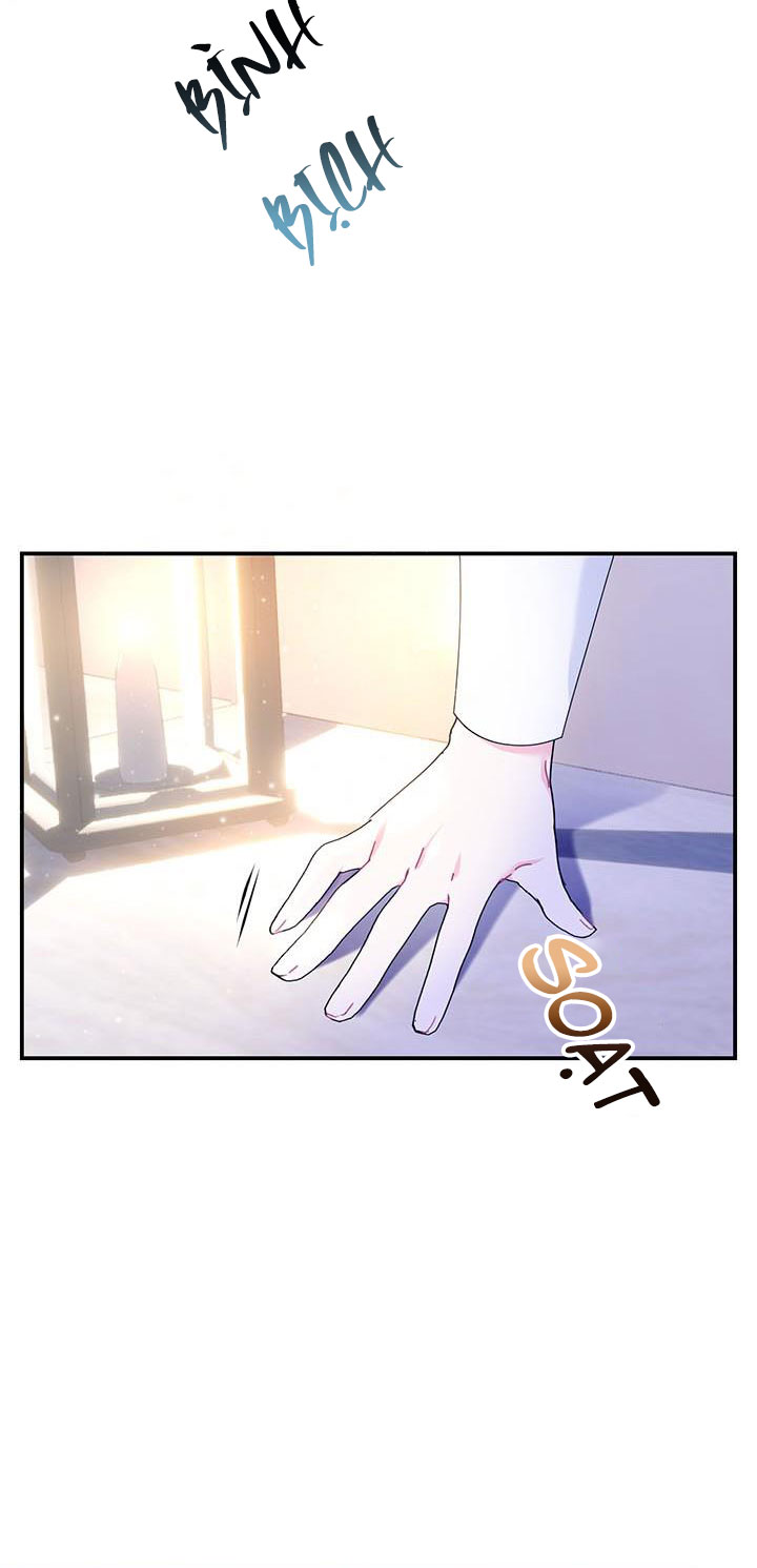 công chúa của loài chim chapter 52.1 33