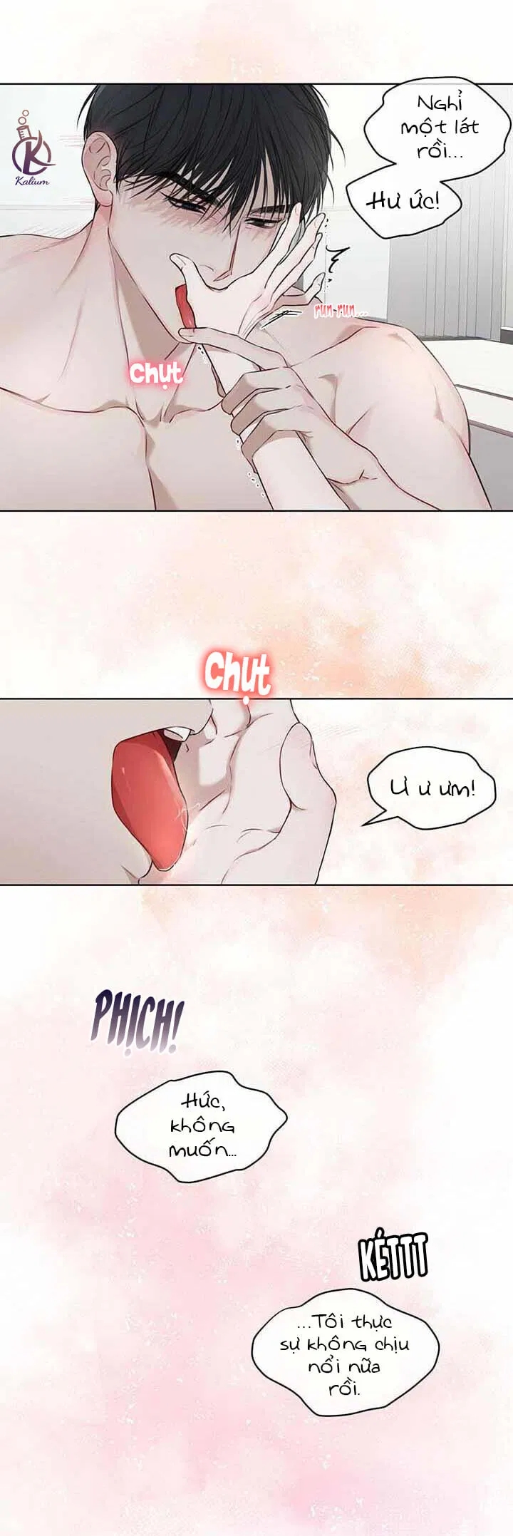 hình thái khởi sinh chapter 23 16