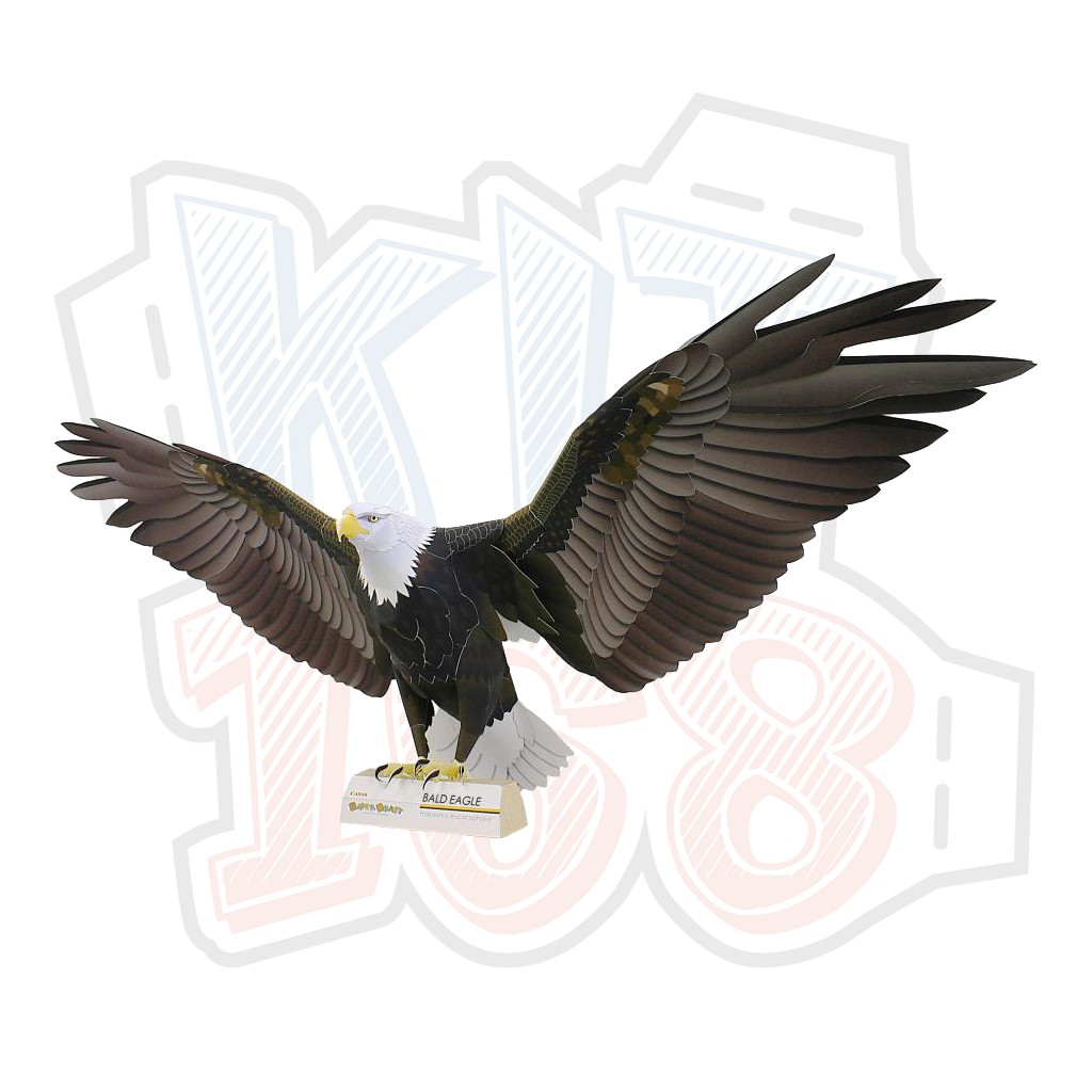 Mô hình giấy động vật chim đại bàng Bald Eagle