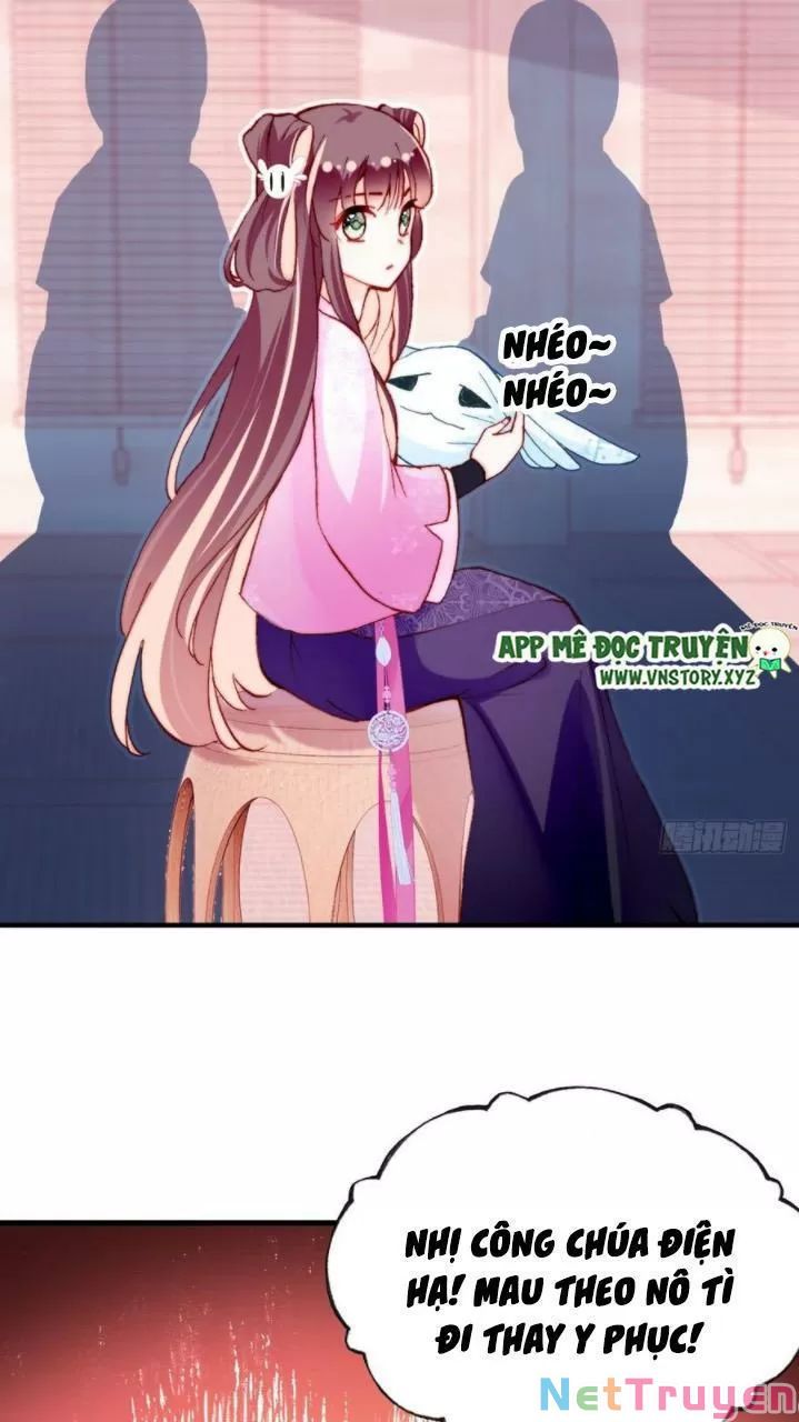 lại bị bệnh chiều chuộng quấn lấy chapter 36 19