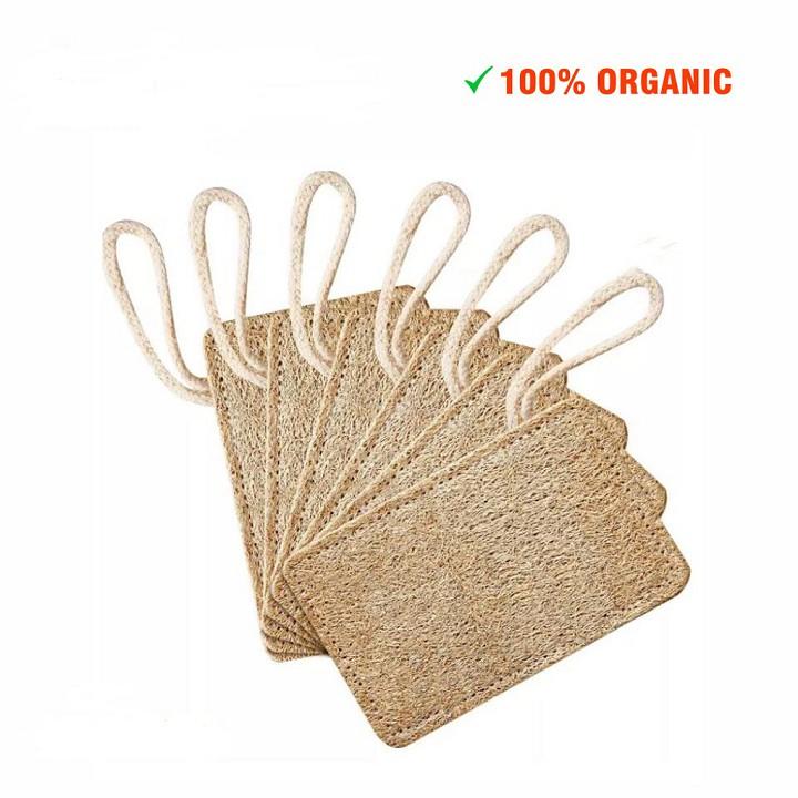 Xơ Mướp Rửa Chén Cao Cấp Ecocare - 100% organic - KT 11 x 7cm