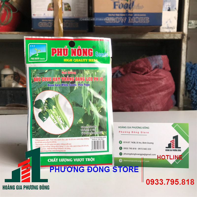 Combo 5-10 gói hạt giống đậu cove trắng dạng leo năng suất cao