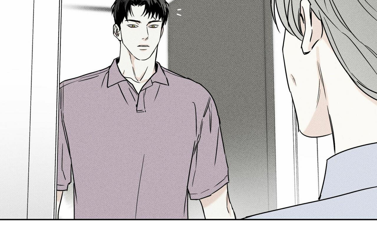 chàng giao pizza và gold palace chapter 31 5