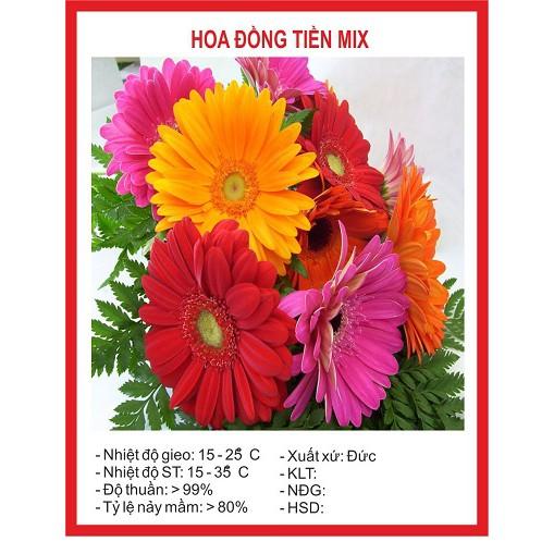 Combo 5 gói hạt giống hoa – 5 loại hoa dễ trồng – tặng 1 gói kích mầm