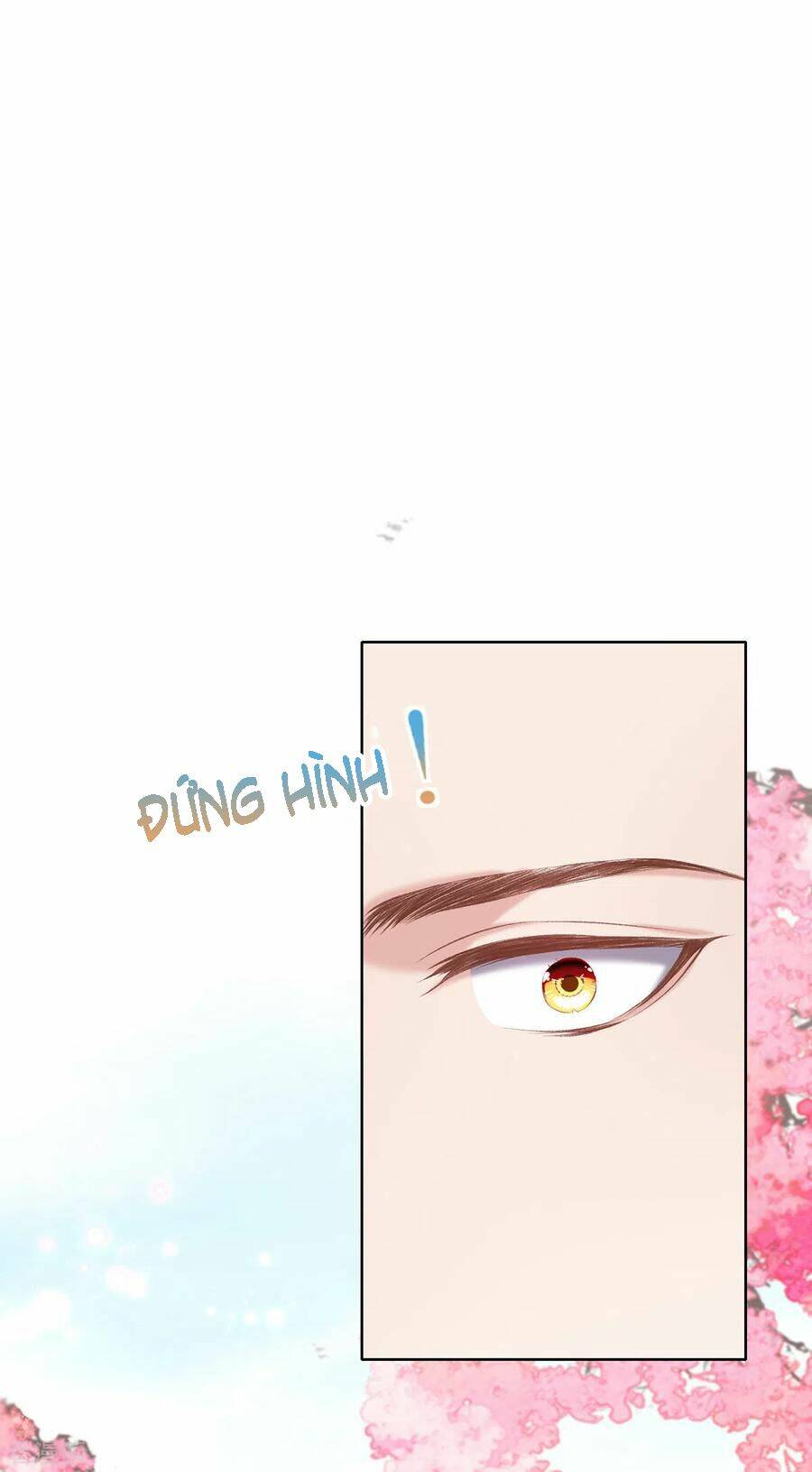 thị huyết y phi chapter 124 27