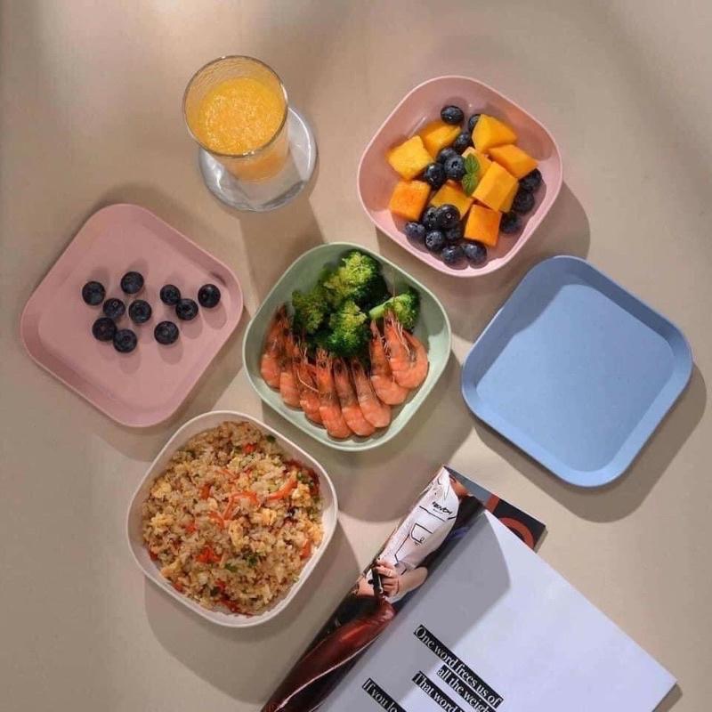 Set 8 đĩa lúa mạch cao cấp