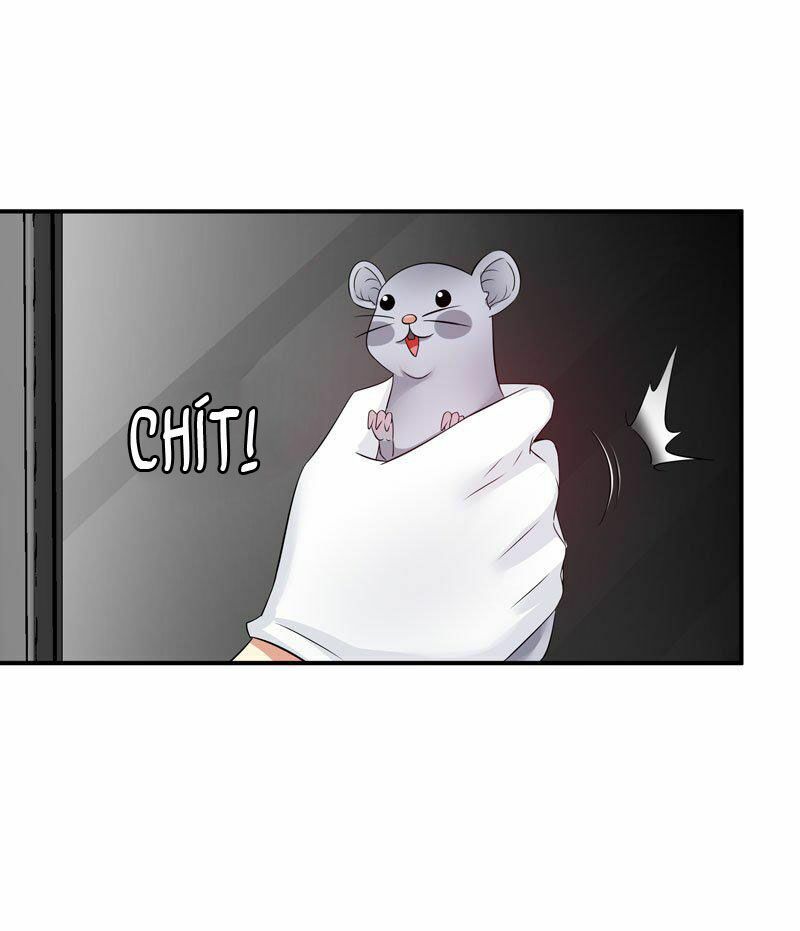 thủ hội chi vũ chapter 20 27