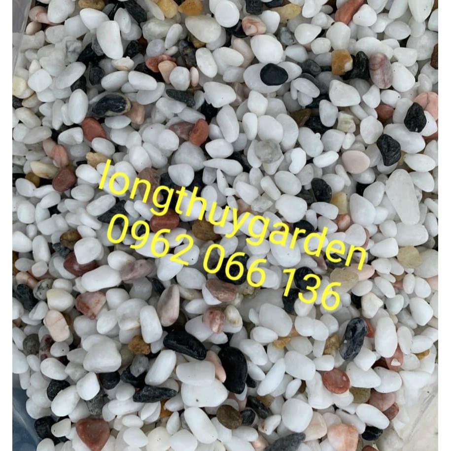Sỏi màu tự nhiên dùng trang trí hồ cá và sân vườn gói 1kg