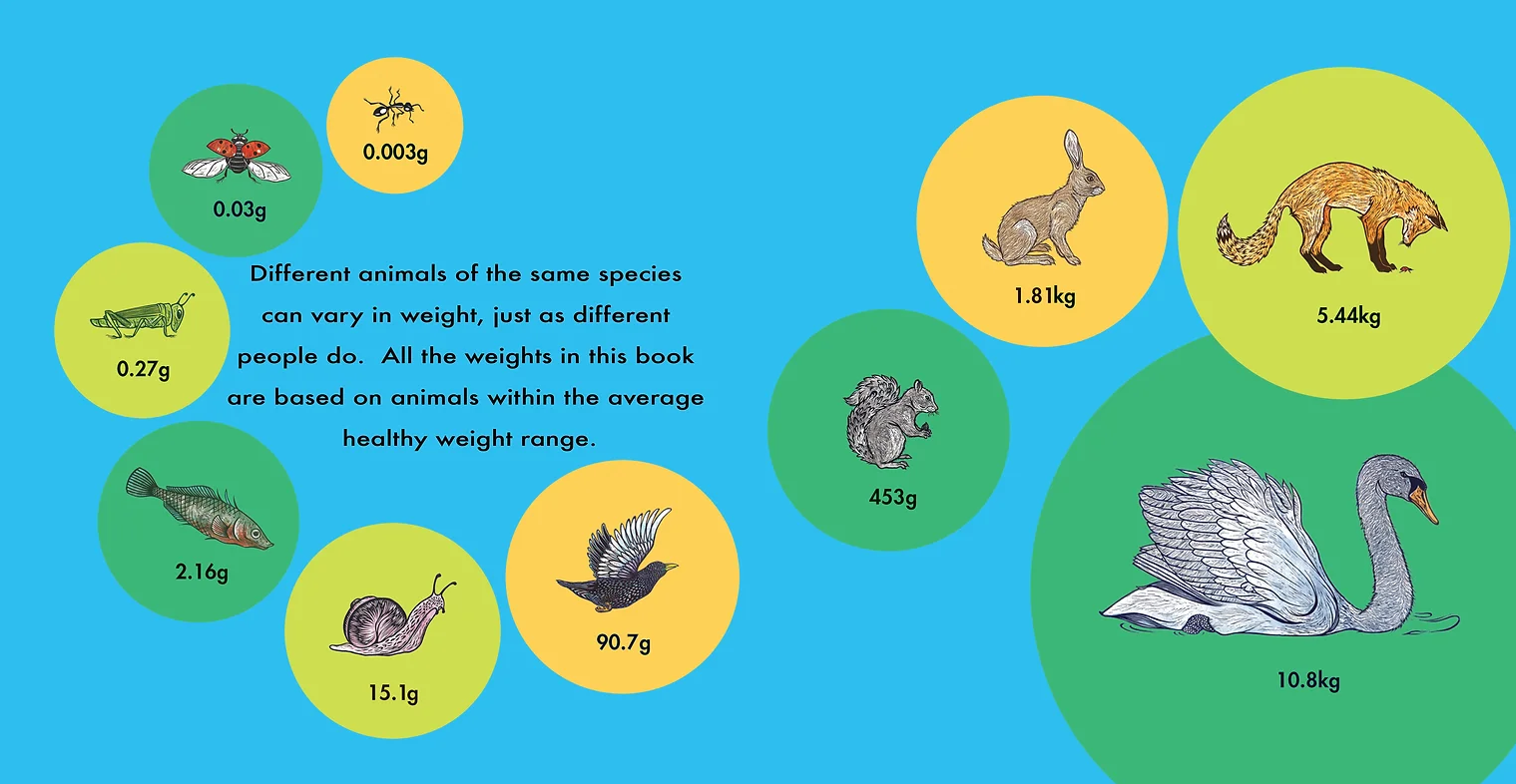 How Much Does A Ladybird Weigh?