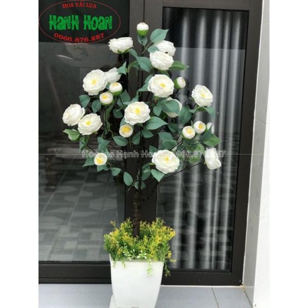 CÂY HOA TRÀ NHỊ BÔNG LỚN CAO 1M - CÂY HOA GIẢ