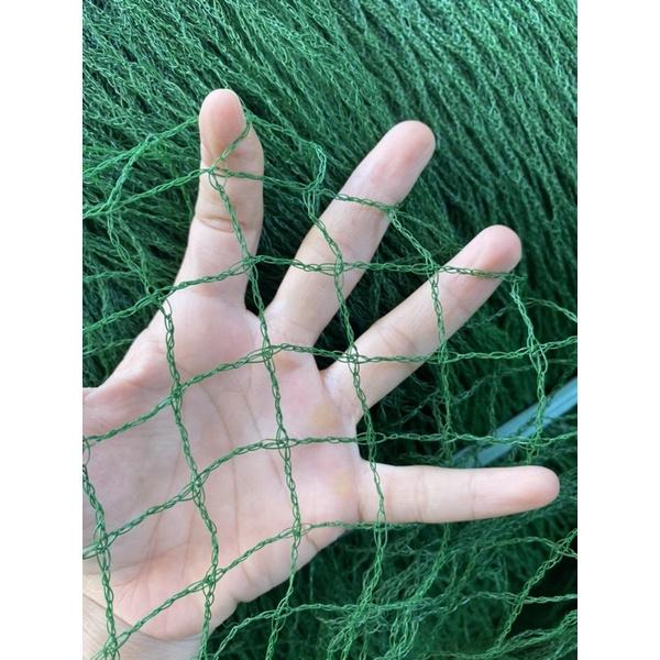 Lưới giàn leo, lưới trồng cây dây leo, rào gà vịt khổ rộng 2 mét