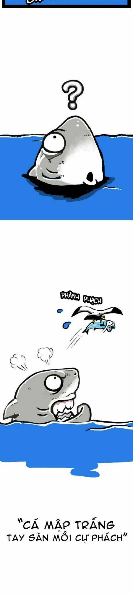 earth, human, and animal chapter 8 3