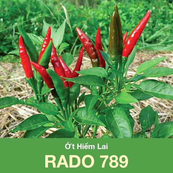 Hạt giống Ớt Hiểm Lai RADO 789 gói 0,2gr sai trái, cay nồng - NON GMO- Hạt giống Rạng Đông, Chất lượng vượt trội !