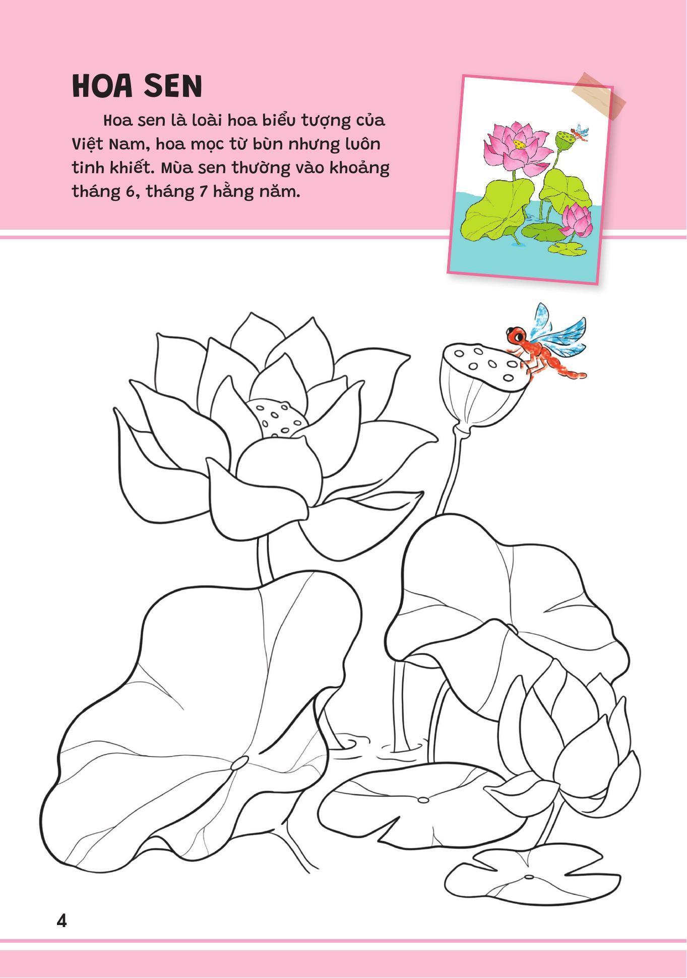 Sách - Yêu Quá Việt Nam - Các Loài Hoa