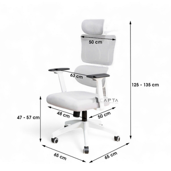 Ghế văn phòng hỗ trợ cột sống lưng CR4331-M Nội thất Capta Ghế công thái học lưng lưới nệm vải tay nhựa chữ T điều chỉnh chân xoay nâng hạ có gác chân