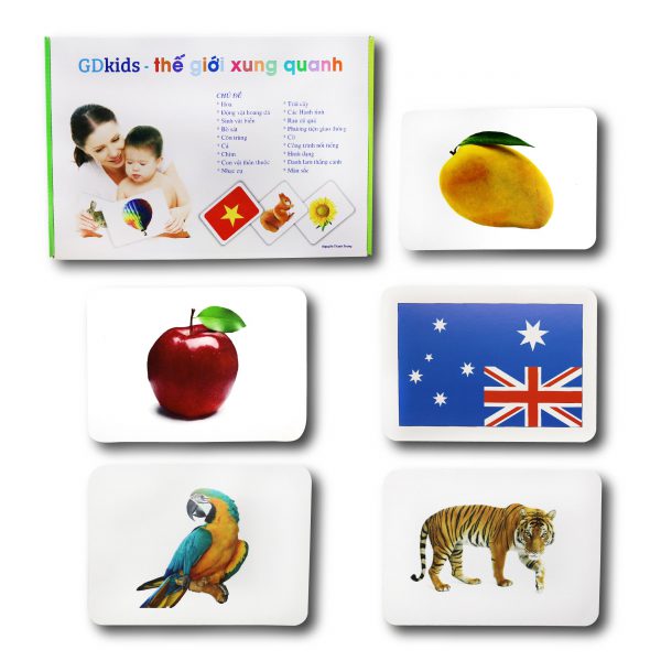 GDKids – Thế giới xung quanh Glenn Doman (300 Thẻ Flashcards)