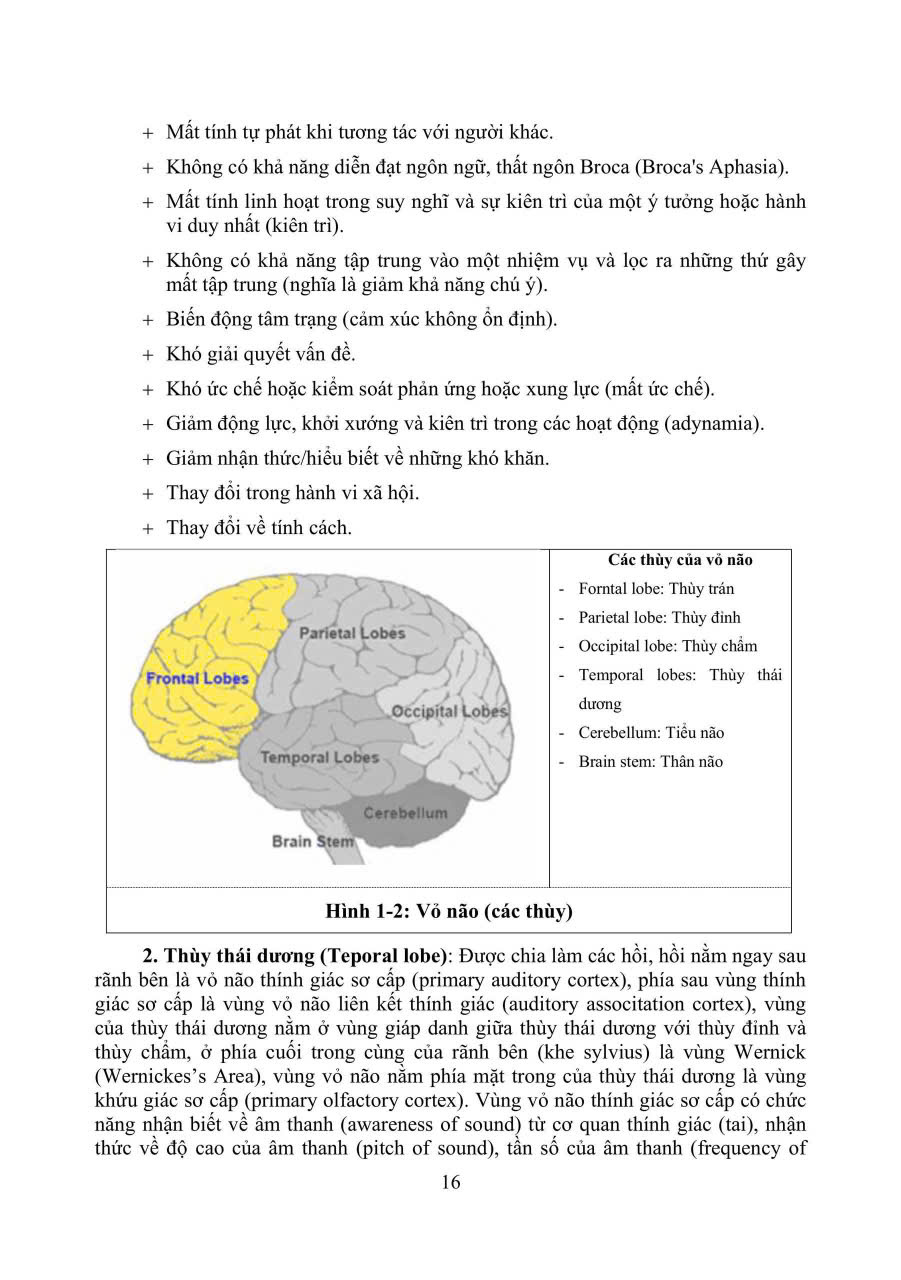 Sách - PHỤC HỒI CHỨC NĂNG CHẤN THƯƠNG NÃO
