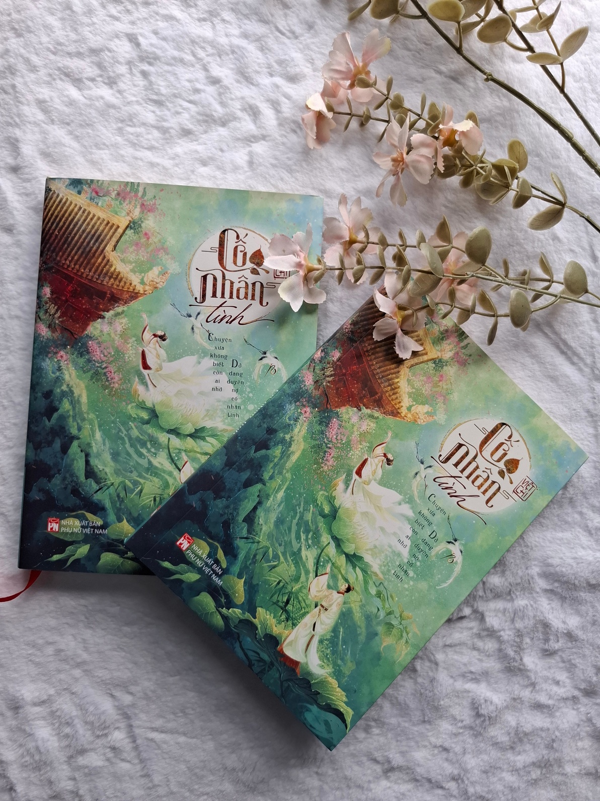 Cố nhân tình - Việt Chi