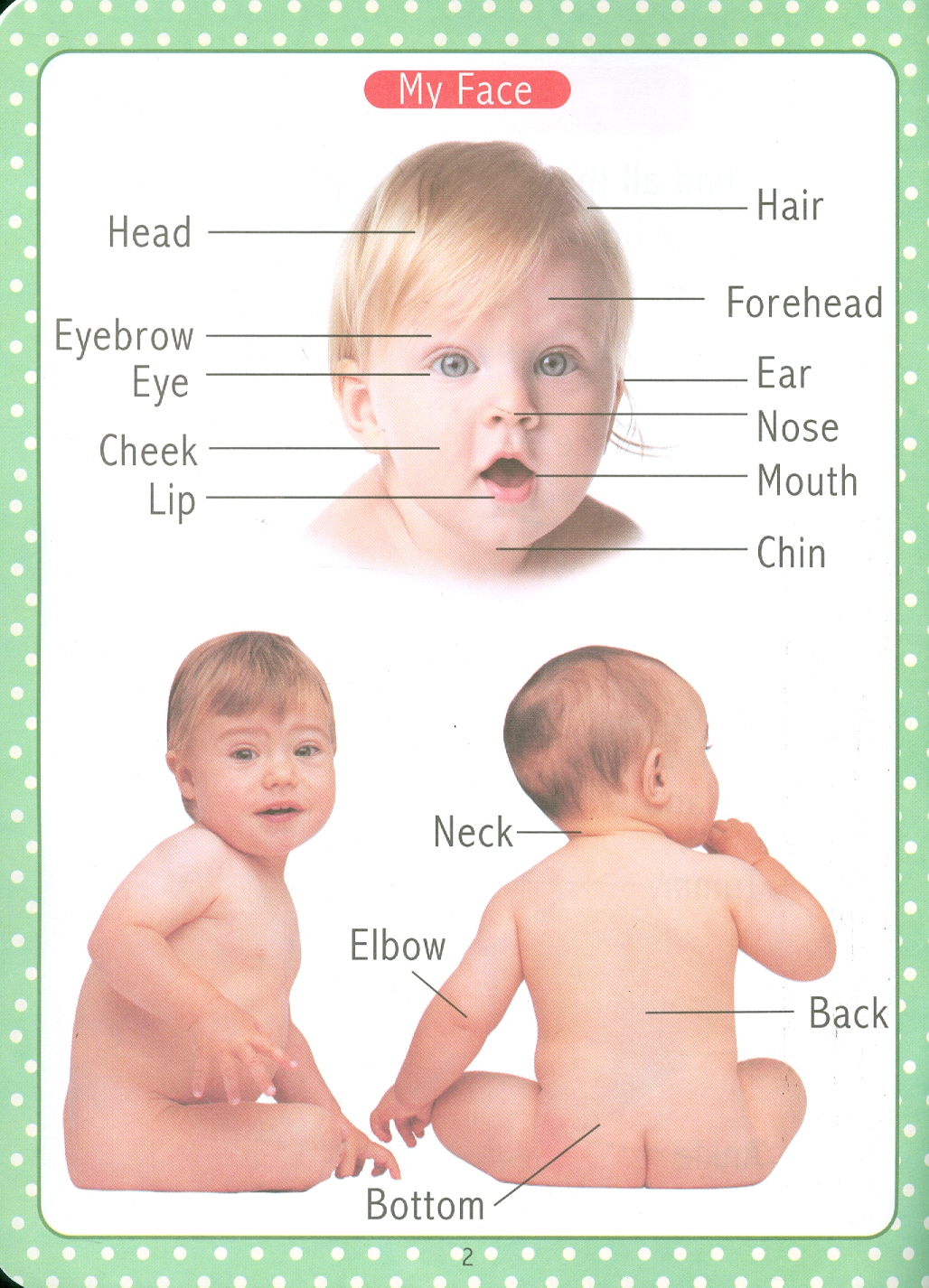 My First Early Learning - Parts Of Body Book (Bài học đầu tiên của tôi - Sách về cơ thể người)