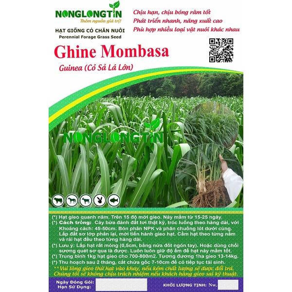 Hạt giống cỏ chăn nuôi Mombasa Ghine  KNS3737 - Gói 50gram