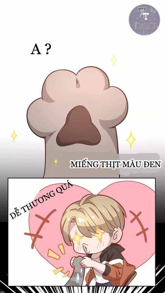 dưới móng vuốt mèo chapter 19 36