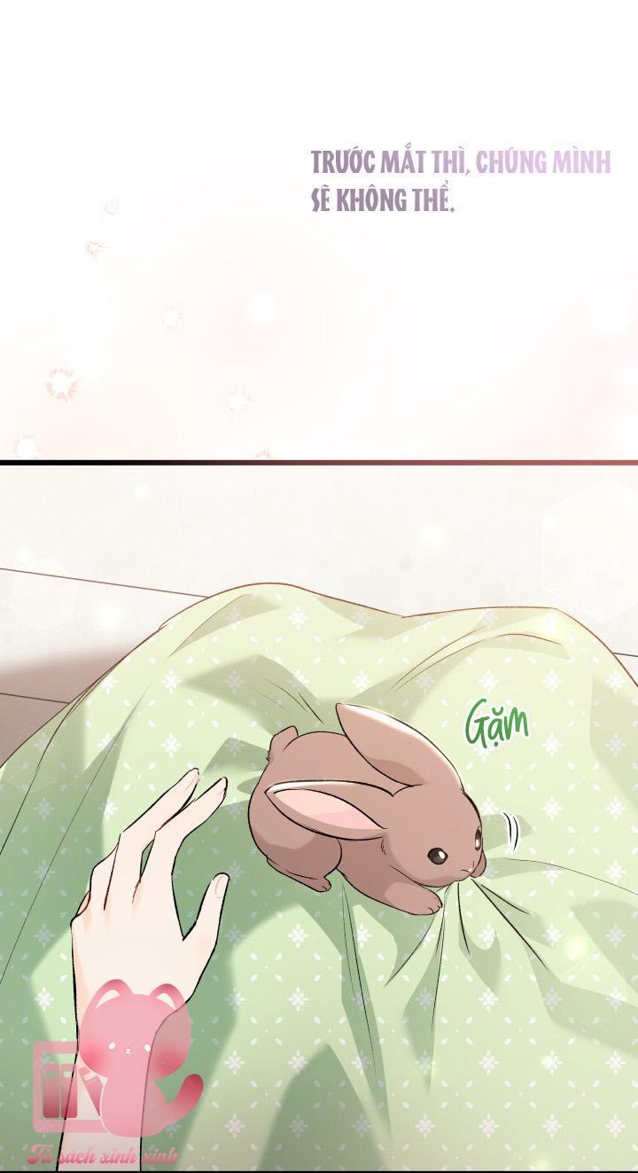 quan hệ cộng sinh giữa báo đen và thỏ trắng chapter 75 62