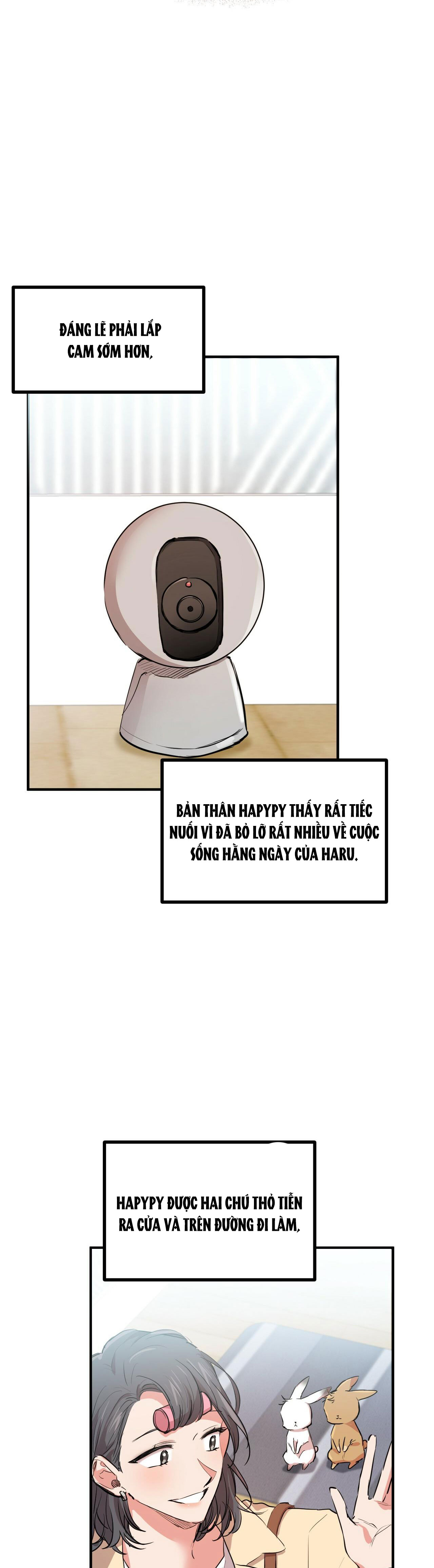 những chú thỏ của hapypy chapter 28 25