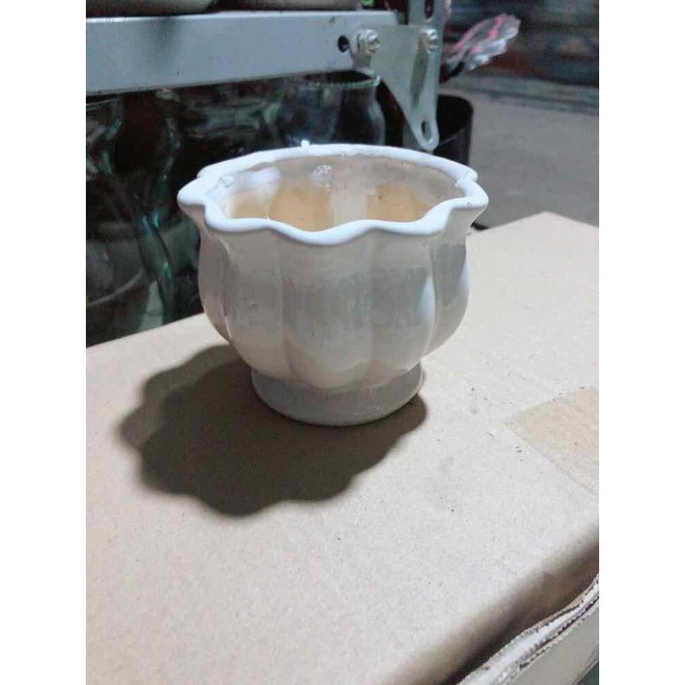 Chậu Trồng Cây Bán Chạy