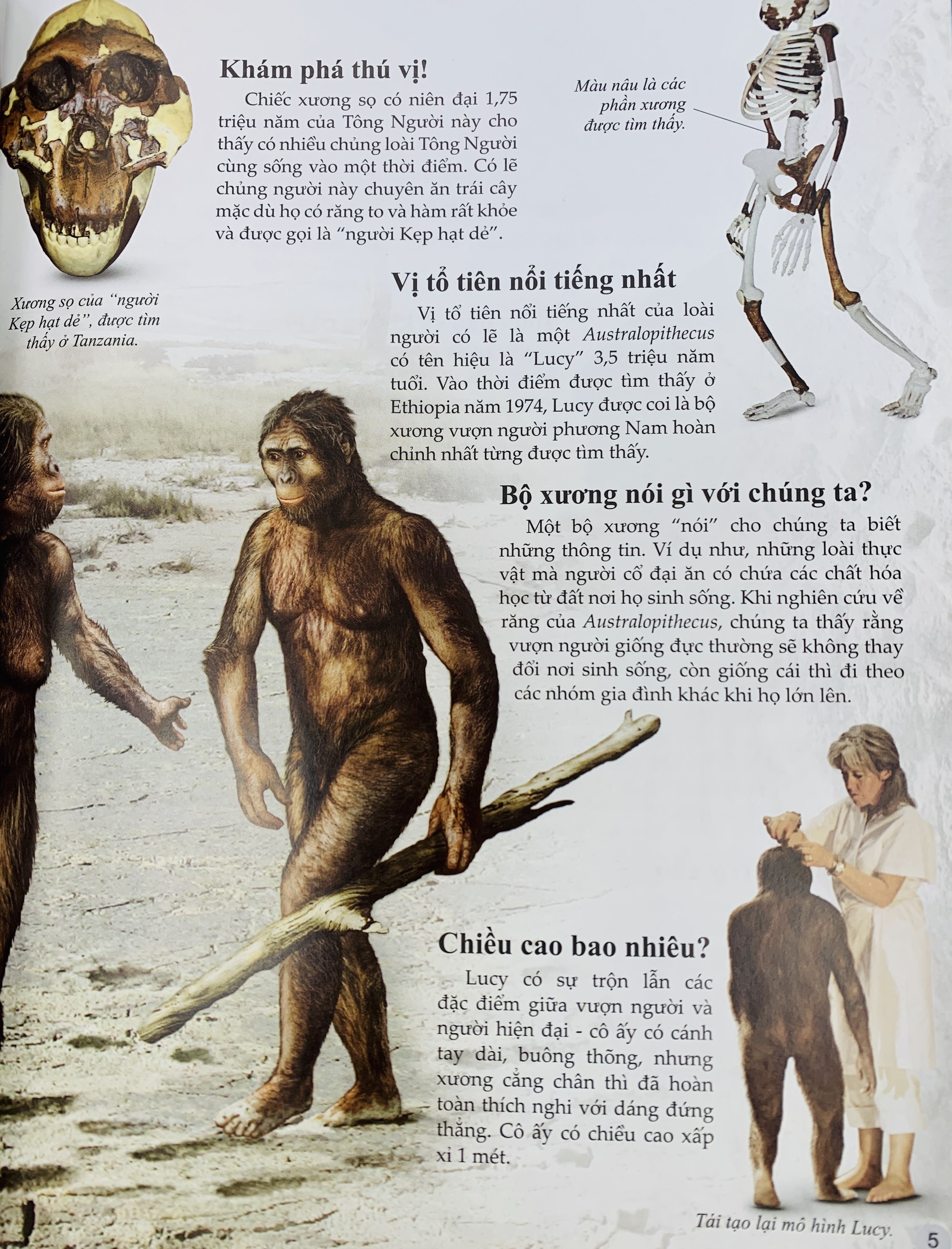 Bách Khoa Tri Thức Về Khám Phá Thế Giới Cho Trẻ Em - Early People - Người Cổ Đại