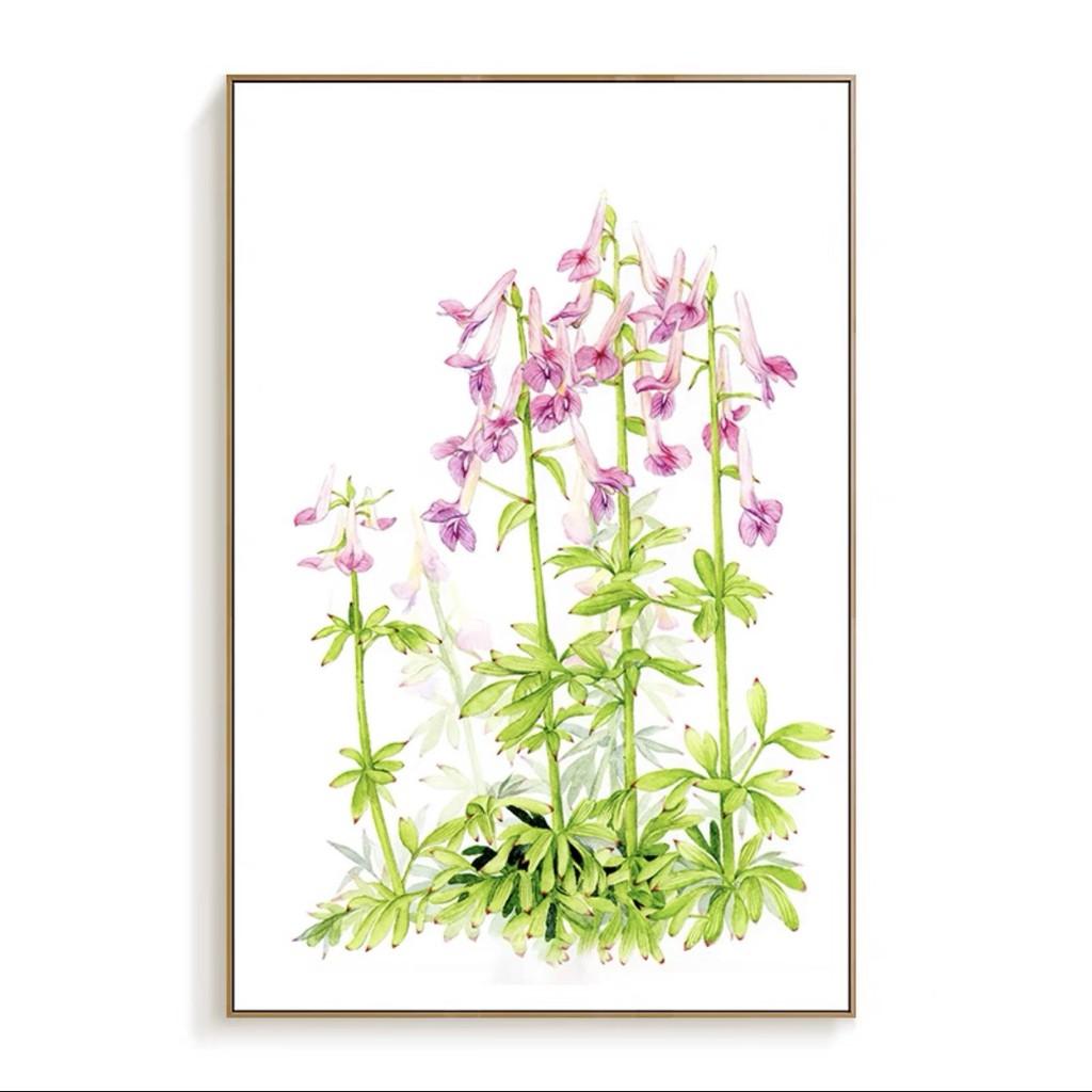 Tranh canvas tràn viền treo tường phòng khách, tranh vẽ bông hoa sắc màu H 180-188