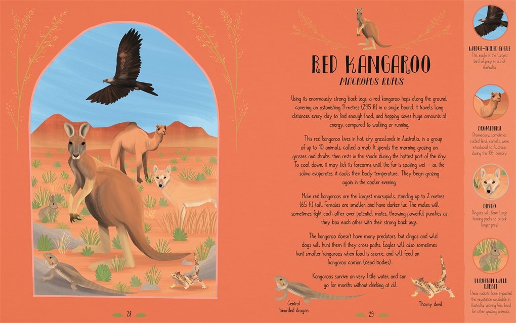 Sách: Animal Worlds of Wonder - Sách Tham Khảo Kiến Thức Về Thế Giới Động Vật Dành Cho Trẻ - Á Châu Books, Bìa Cứng, In Màu