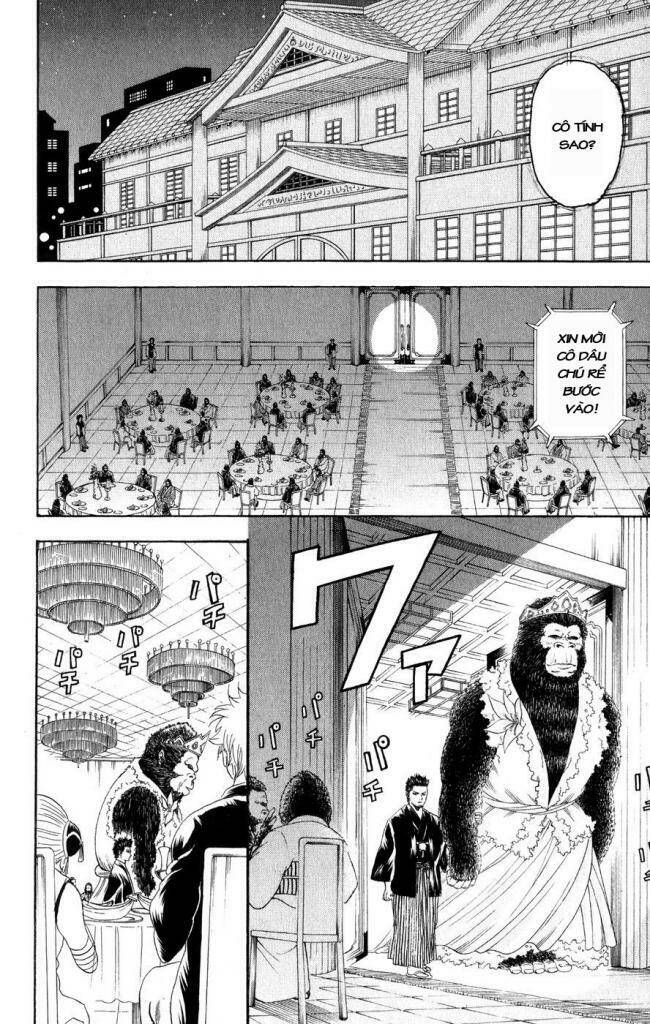 gintama - linh hồn bạc chapter 123 8
