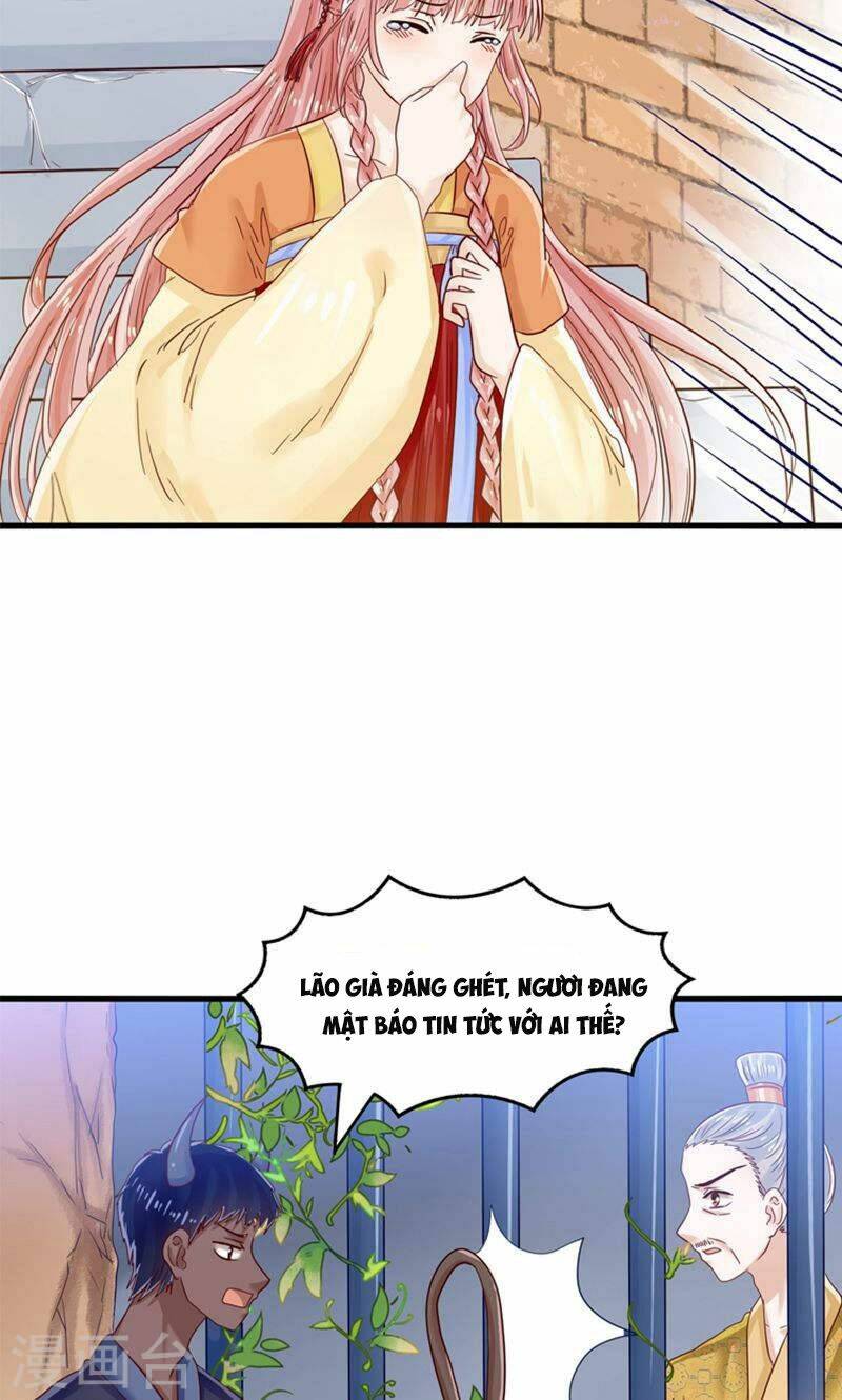 tôi bị gấu trúc nhìn trúng rồi chapter 23 32